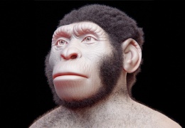 Homo naledi ve mezar kültürünün geçmişi