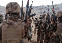 El Kaide, HTŞ korumasında