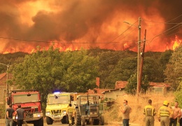 400 bine yakın alan kül oldu