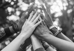 Demokratik ortak yaşamın inşası