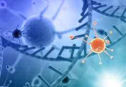 Normatif davranışın biyolojik boyutu