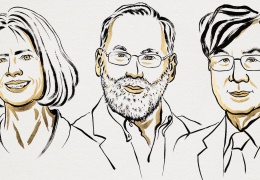 Bağışıklık sistemimizin frenleri