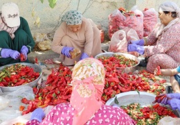 Durango ile kardeşlik projesi: Kobanê Kadın Kooperatifi