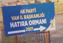Protokol ormanları!