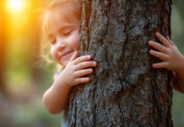 Memleketten hak manzaraları