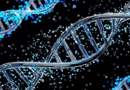 Antik salgınların DNA’mızdaki izleri