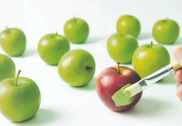 Zimanê zikmakî û zimanê serwer