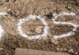 Zenginler tüm kaynakları sömürüyor