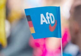 AfD yükselişte
