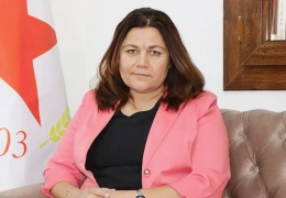 Devrim içinde devrim