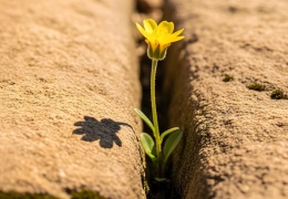 Kısır döngüden kurtulabiliriz