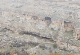 Mazgêrt avcıların hedefinde