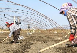 Yaşanan açmazın nedeni