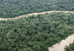 Amazon, hipertropikal iklime sürükleniyor