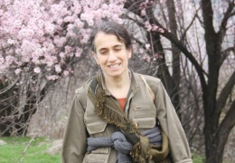 Şengal’de portakal ağacı çiçeklenirken