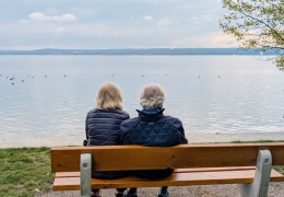 Hollanda artık yaşlı