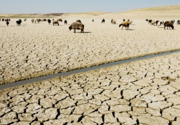 ‘Su yoksa hayat da yok’