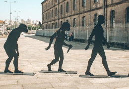 Biyoloji mi kültür mü?