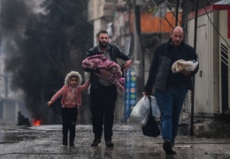 Fitnenin kuluçkası