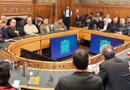 Lordlar Kamarası, Rojava’yı konuştu