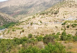 Kürtleri göç ettirme, etnik nefrete dayanıyor