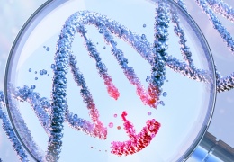 DNA’yla atalarımızın izini sürmek