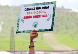 Cengiz, Şemrex’e de çöküyor