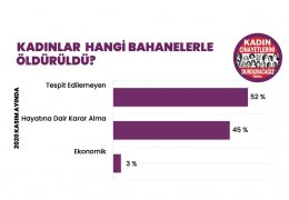 Kasım'da 39 kadın katledildi