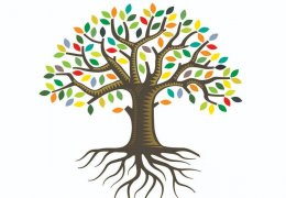 İnsanlığın varoluş gerekçesi olarak kültür