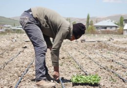 Tarım nefes alamaz hale getirildi