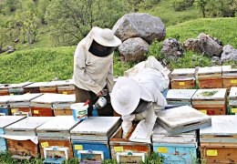 Kentten köye dönüş