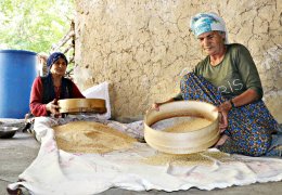 Susamın meşakkatli yolculuğu 