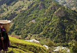 Sokrates'in dili yok oluyor