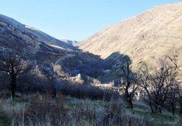 Özgürlüğün resmi