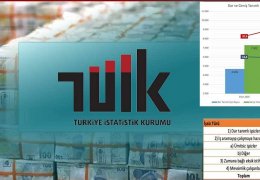 TÜİK sanal iş başı yaptırdı
