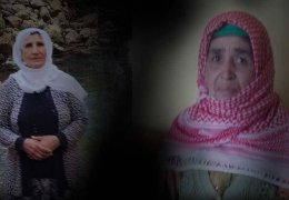 Mardin’de ev baskınları