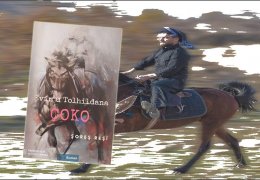 Evîn û tolhildana Çoko