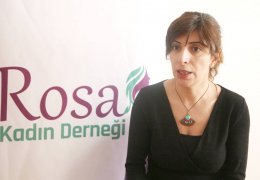 Haftada 4 kadın Rosa’ya başvuruyor 
