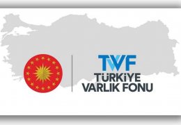 Paralel hazine: TVF