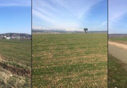 Maraş’ta Kürtlerin toprakları gasp ediliyor