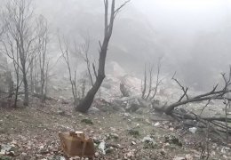 İşgalciyle işbirliği değil, birlikte mücadele şarttır