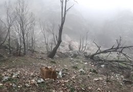 Gerilla kazandı gerilla kazandırıyor