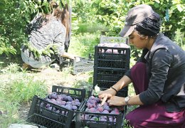 Bu hayata mecbur bırakıldık
