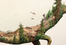 Yağma, yıkım, talan