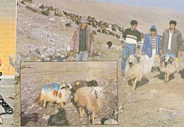 Kürdistan köylerinde seyirlik oyunlar