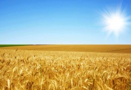 Bir yıldız söylencesi