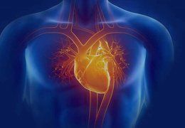 Sol kalp kateterizasyonu