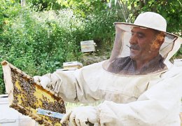 Bal arılarının Feraşin yolculuğu başladı