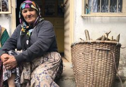 Lazların gönüllü asimilasyonu