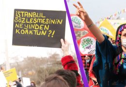 Çıplak gerçeğe karşı